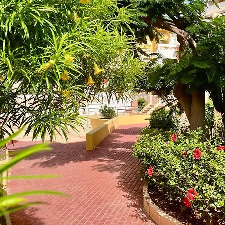 Ocean View In Orlando Apartment *