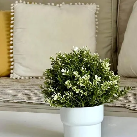 Ocean View In Orlando *