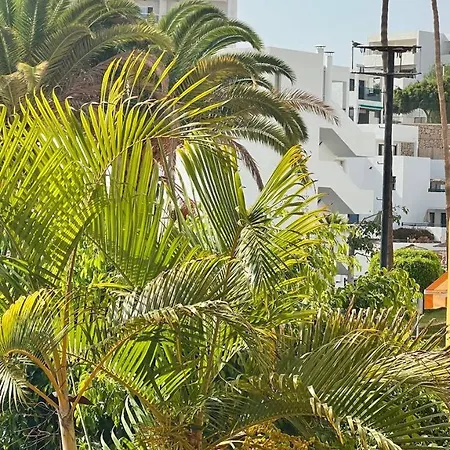 Ocean View In Orlando