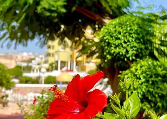 Ocean View In Orlando Апартаменты *