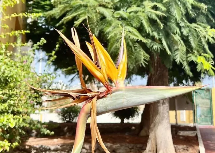 Ocean View In Orlando Апартаменты