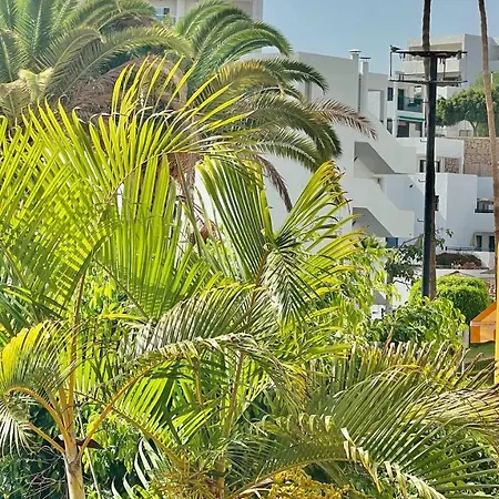 Ocean View In Orlando Lejlighed